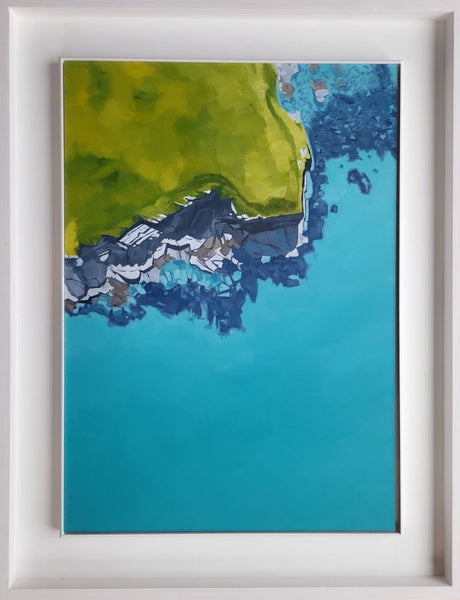 Bossiney Bird’s Eye