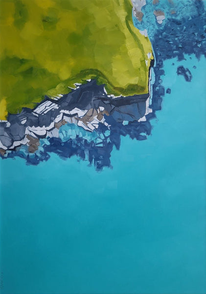 Bossiney Bird’s Eye