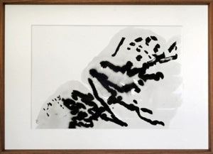 Drawing from Rocks: An Exhibition of Experimental Ink Drawings