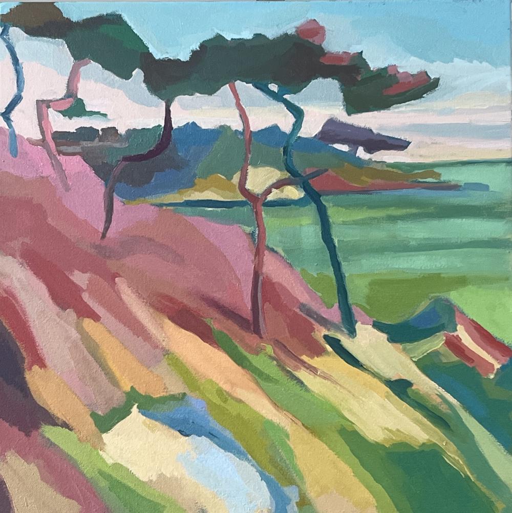 Autumnal Cedar Coastal Walk