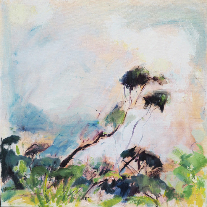 Spring Eucalyptus 1