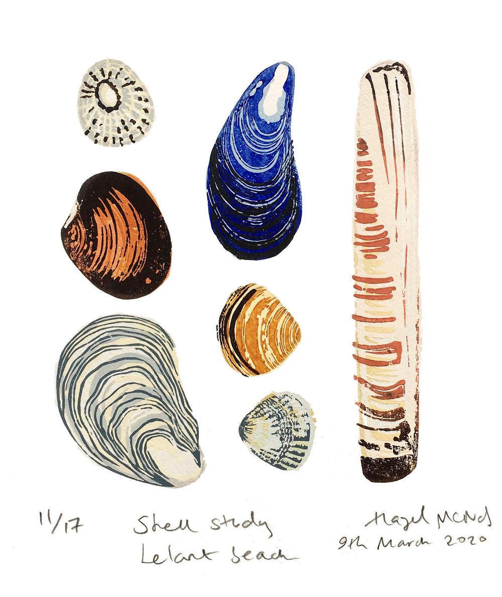 Shell study