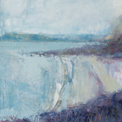 Polgwidden tidelines