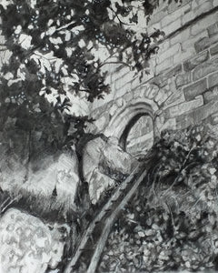 Roche